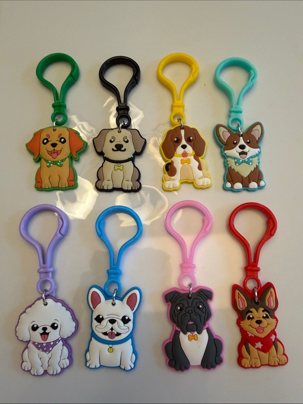 💰 Set of 24 Dog Hang Tag Keychains